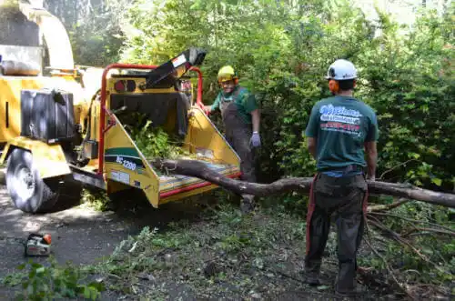 tree services Mecca